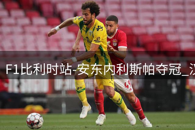 F1比利时站-安东内利斯帕夺冠 汉密尔顿被罚维修区撞人